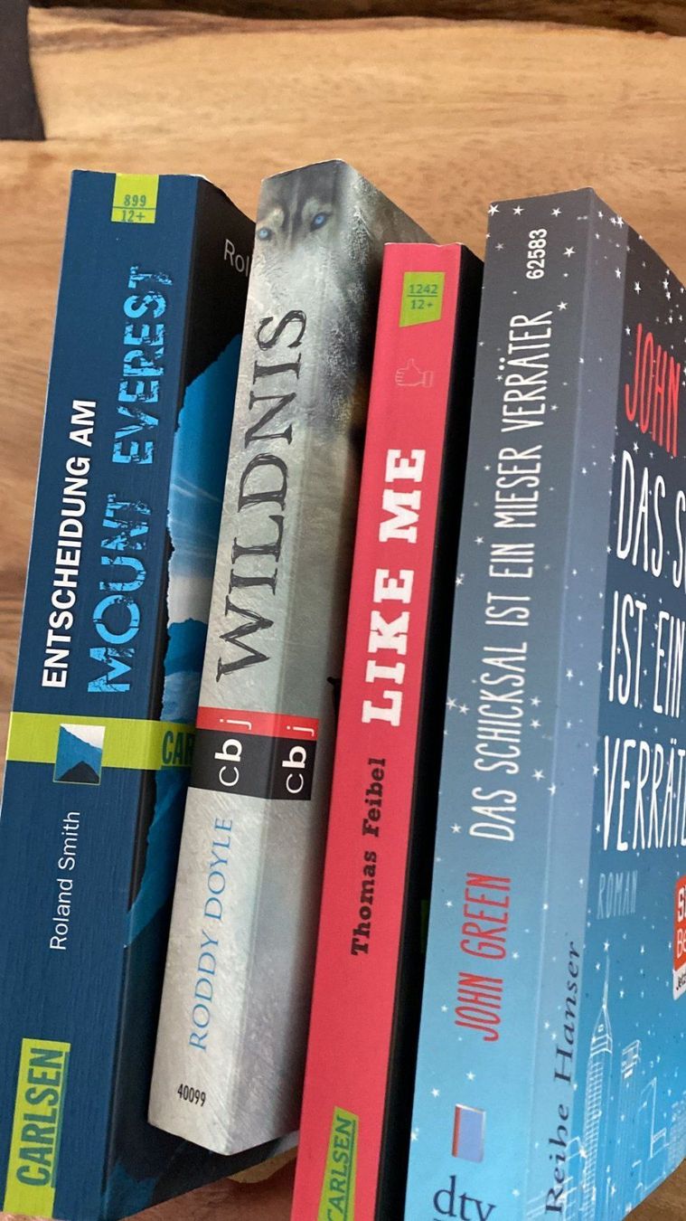 Livres: Jugend Bücher, Carlsen, dtv, cbj – D'occasion à Dagmersellen par Arcticsnow2017 1
