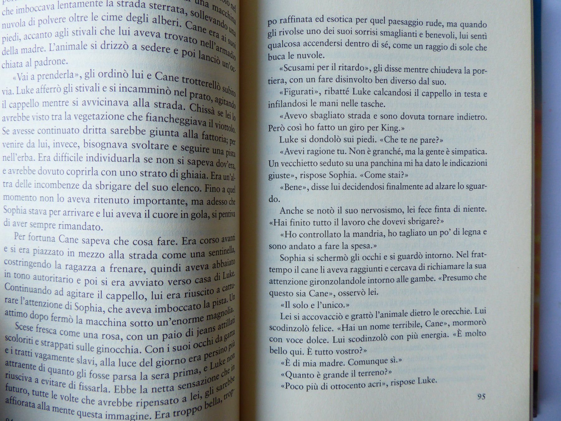 Libri: Buch La risposta e nelle stellle, italiano, Nicolas Spark – Usato da Turbenthal venduto da Panau 2