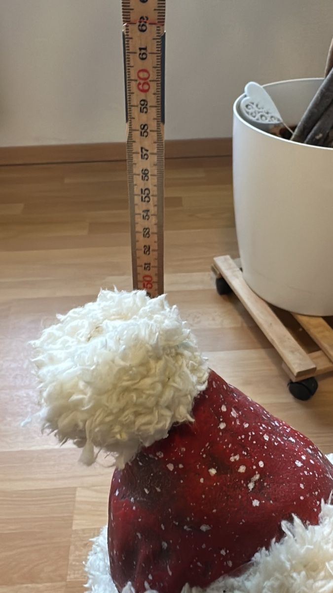 Toutes les décorations: Weihnachtsmann Figur mit Laterne  – D'occasion à Aarau Rohr par keedom 1