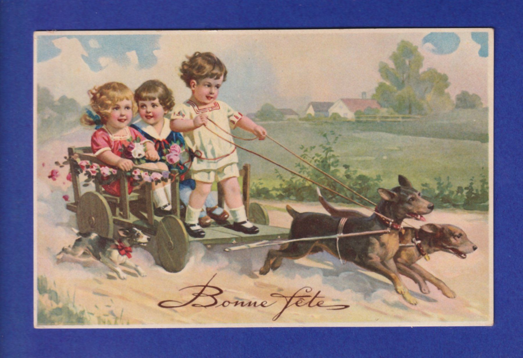 Cartes postales: ENFANT - Char à chiens – D'occasion à Pully par nicecards-shop