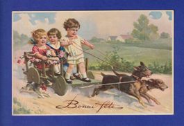 ENFANT - Char à chiens