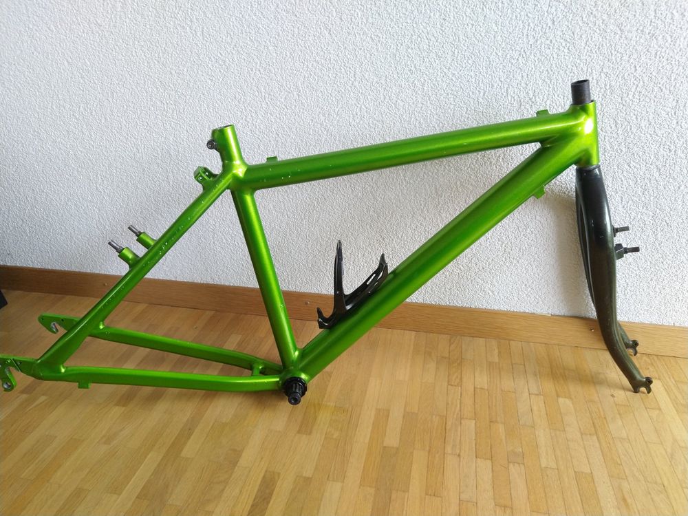 lowrider gravel bike 26