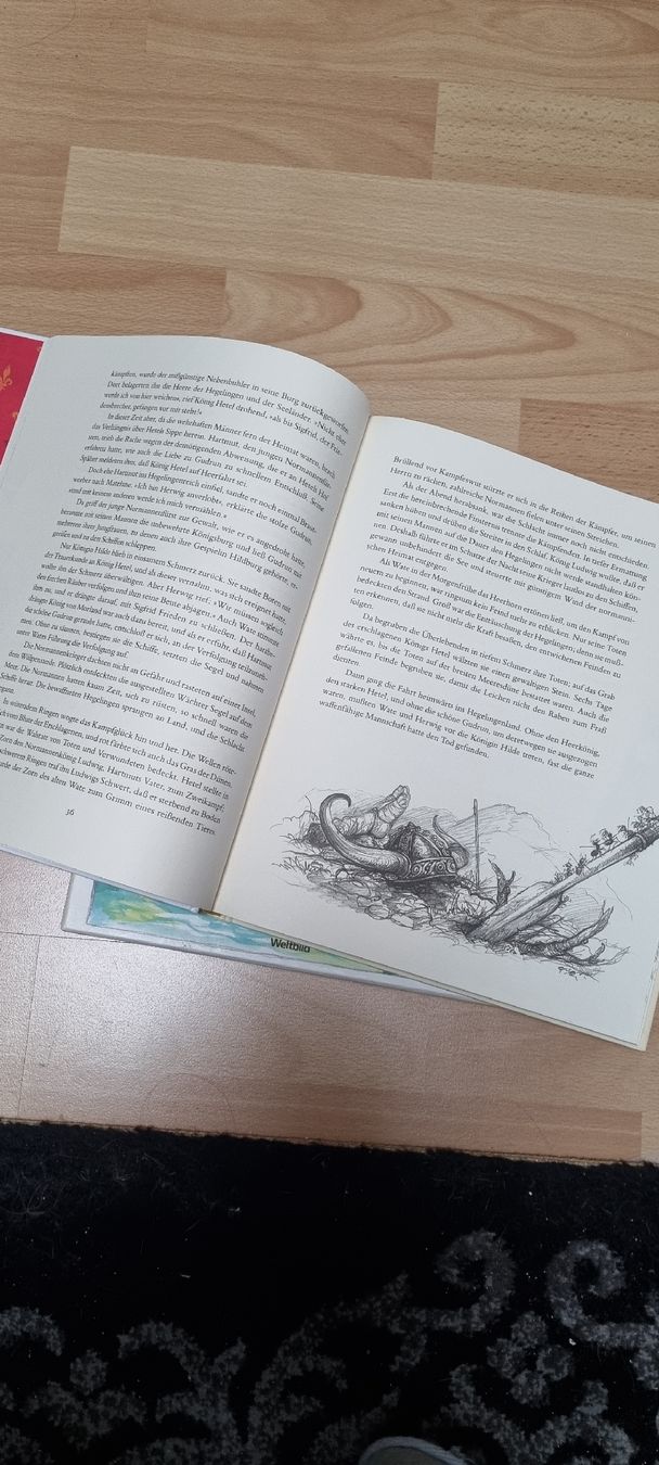 Libri: Das grosse Sagenbuch – Usato da Lostorf venduto da _Venus_ 2