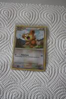 teddiursa - Pokemon Heartgold Soulsilver Entfesselt