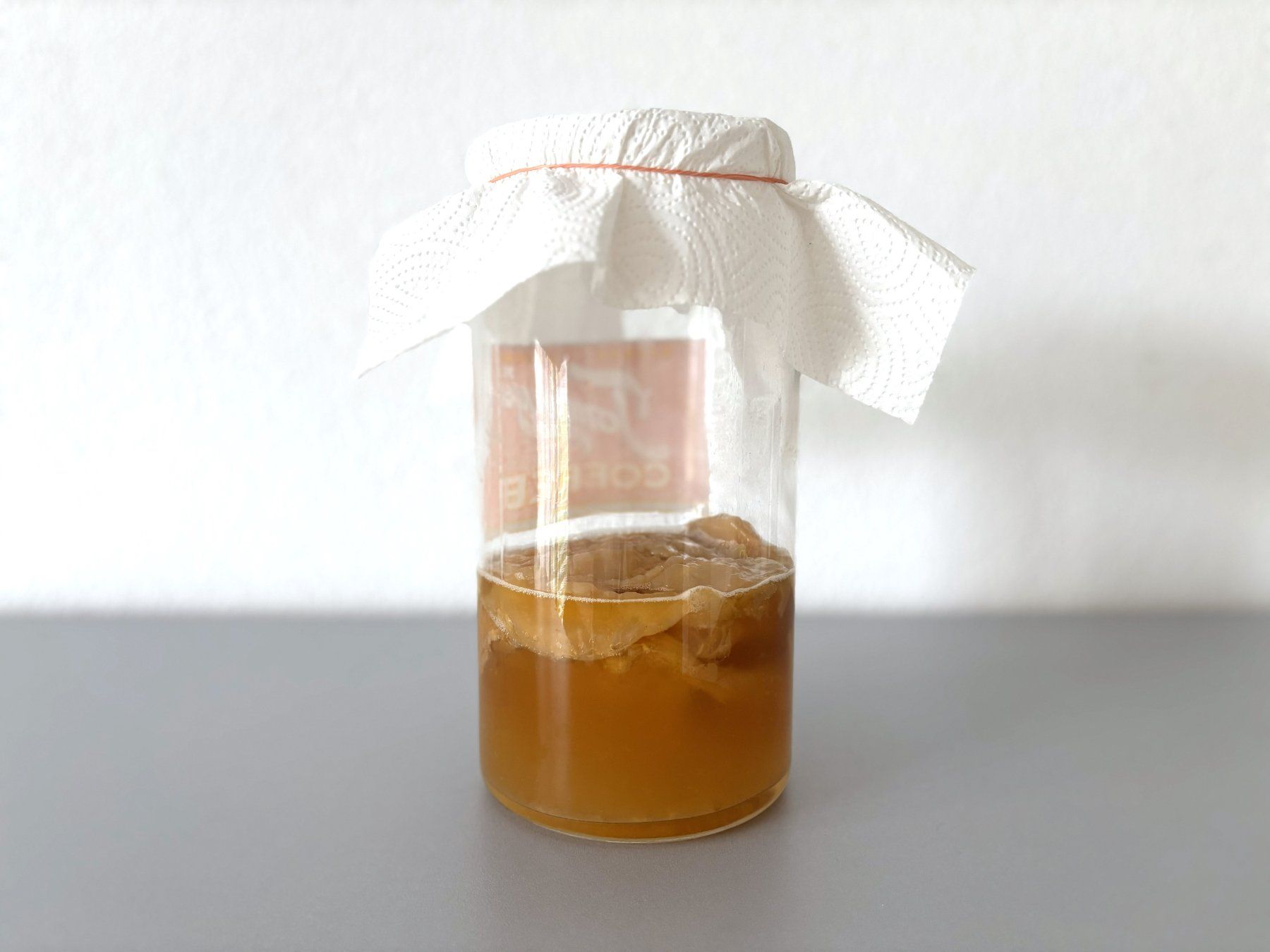 Cibi & Specialità: BIO Kombucha Fermentation Teepilz Scoby Lebensmittel – Usato da Holzhäusern ZG venduto da paula_w