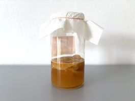 BIO Kombucha Fermentation Teepilz Scoby Lebensmittel