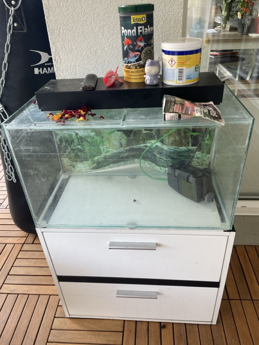Aquarium: Aquarium  – D'occasion à Aarau Rohr par geri71