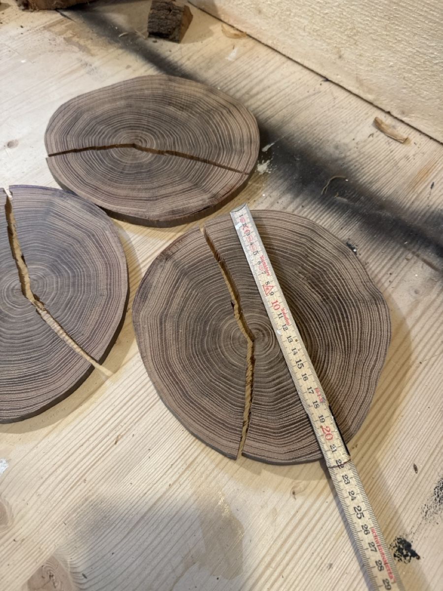 Holzartikel: Deko Holzscheiben Baumscheiben – Gebraucht aus Brunnen von Holz-style 1