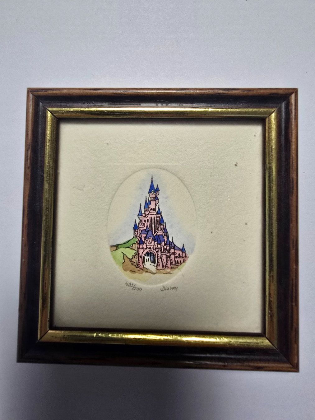 Foto & Immagini: Disney Cinderella Schloss Radierung numeriert – Usato da Birsfelden venduto da HugenschmidtB