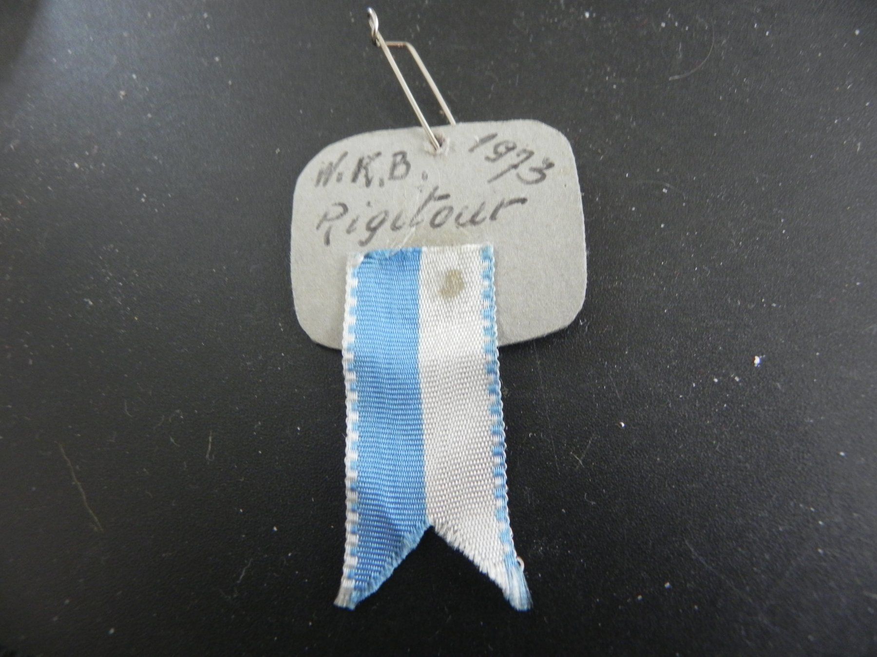 Broschen & Nadeln: Abzeichen WKB Rigitour 1973 – Gebraucht aus Biel/Bienne von Gogolozi 2