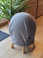 TOPSTAR Fitness-Hocker Rückentrainer Gymnastik, wie NEU
