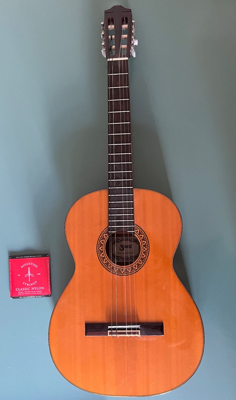 Strumenti musicali: Gitarre / Akustikgitarre / Stagg – Difettoso da Bern venduto da fluxus02