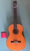 Gitarre / Akustikgitarre / Stagg