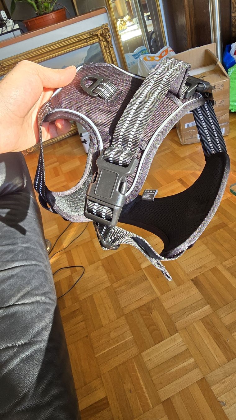 Abbigliamento: hundegeschirr – Nuovo e nell'imballaggio originale da Urtenen-Schönbühl venduto da ger_lv75
