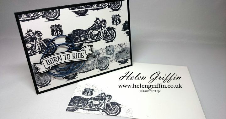 Stampin' up! Timbri: Stempelset von Stampin up "One wild ride" – Usato da Frauenkappelen venduto da evangelina78 8