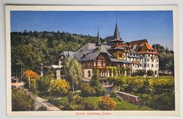 Antike Ansichtskarte, vom Zürcher Waldhaus Dolder - Rarität