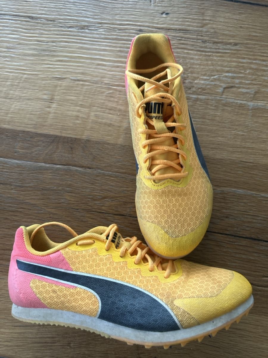 Puma Herrenschuhe: Nagelschuhe Grösse 37 Puma – Gebraucht aus Fischbach- Göslikon von Rommel 1
