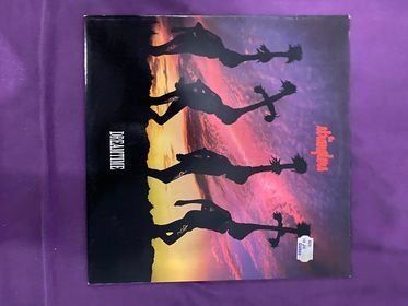 Dischi in vinile: The STRANGLERS " Dreamtime "  1986 – Usato da Niederuzwil venduto da gullipulli
