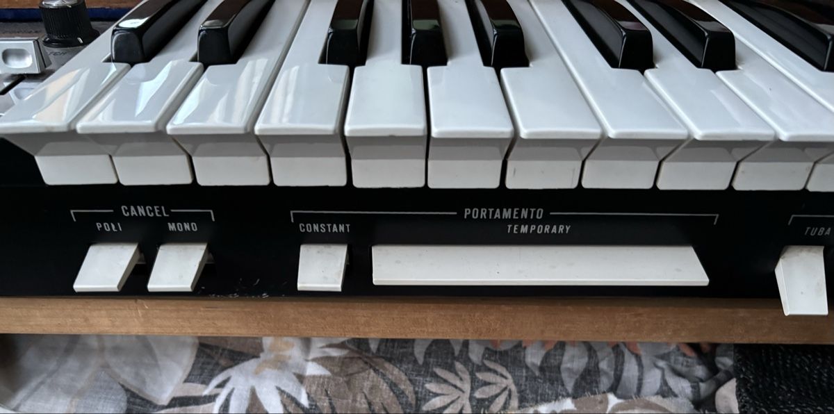 Vintage Strumenti musicali: Farfisa Syntorchestra "The Ultimate Krautrock String Synth" – Usato da Moutier venduto da harpagophytum 4