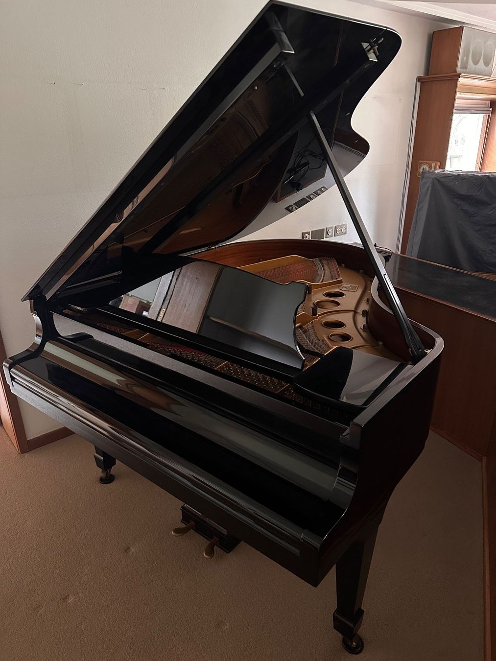 Steinway Strumenti musicali: Steinway Flügel Bj.1963 – Usato da Uster venduto da Maecello