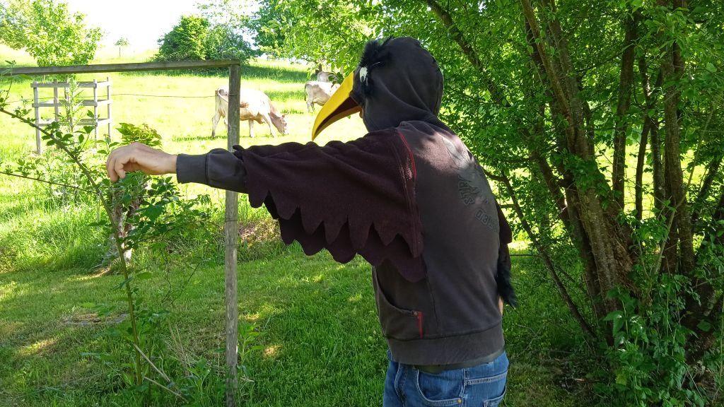 Costumi: Kostüm Rabe – Usato da Bäretswil venduto da Leiset 2
