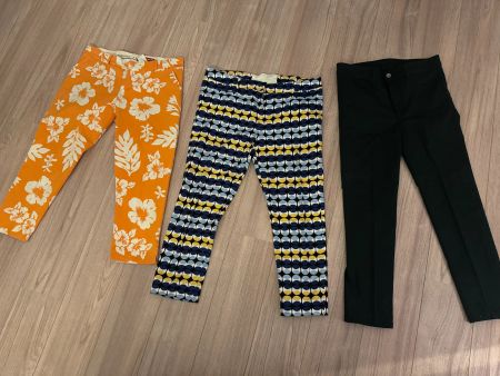3 Stk. Damen Hosen Gr. L