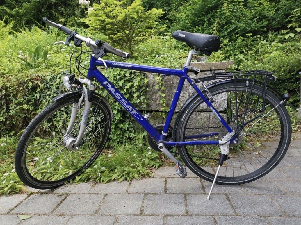 Velos: Passat Manicoure Bicyle – Gebraucht aus Kastanienbaum von davids_closet