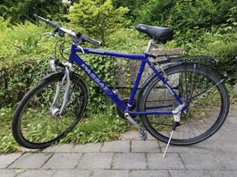 Passat Manicoure Bicyle