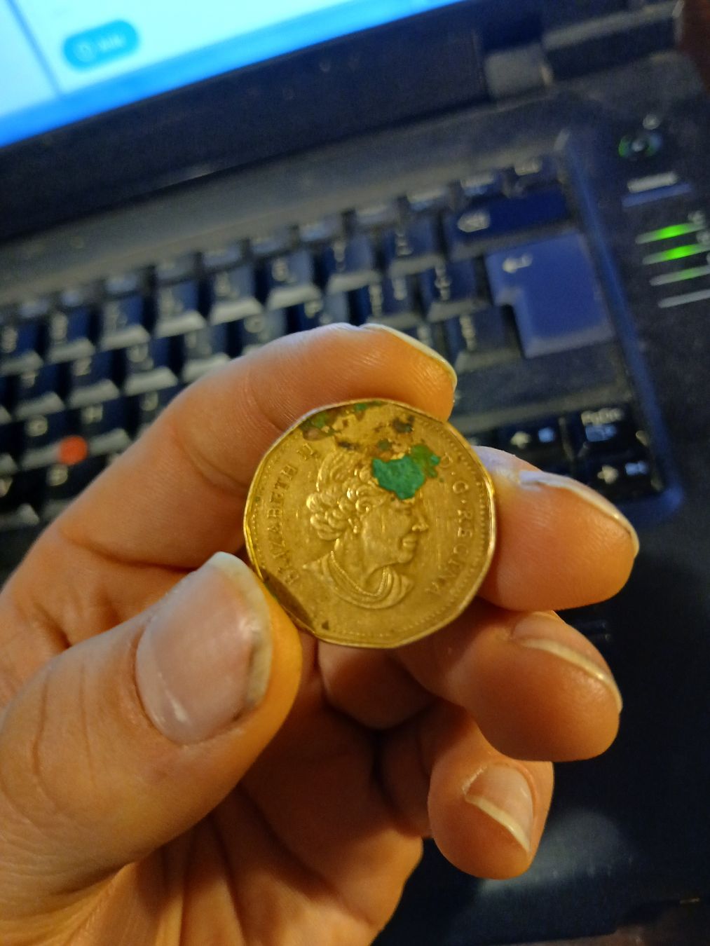 Alle Münzen: Pièce de 1 dollar Canada 2006 JO Turin – Gebraucht aus Marly von globetrotter1723 1