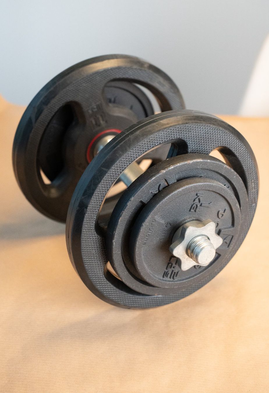 Decathlon Hometrainer: Dumbbell-Set 48 kg mit Koffer & Stangen – Gebraucht aus Luzern von Luca-Sorrentino