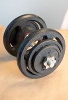 Dumbbell-Set 48 kg mit Koffer & Stangen