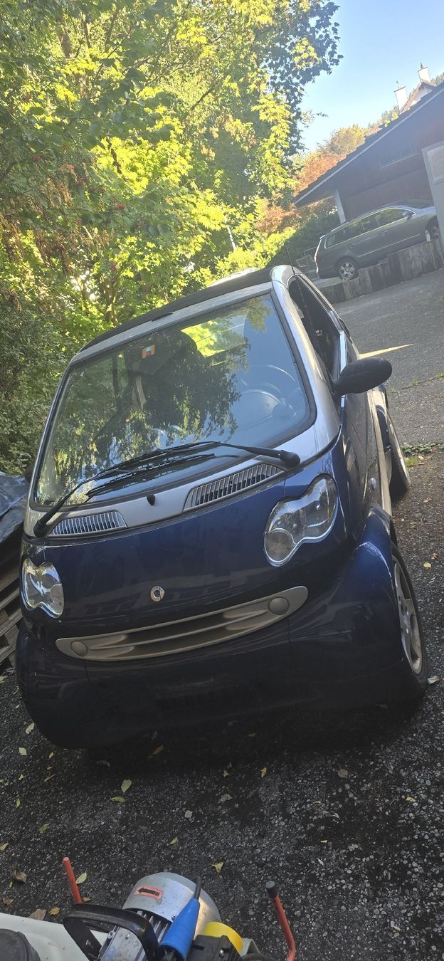 Smart Automobili: smart  – Difettoso da Wil SG venduto da tot_jl8b