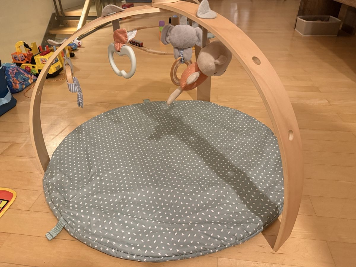 Tappeto da gioco: Baby Spielbogen Activity Gym – Usato da Zürich venduto da maacka 1
