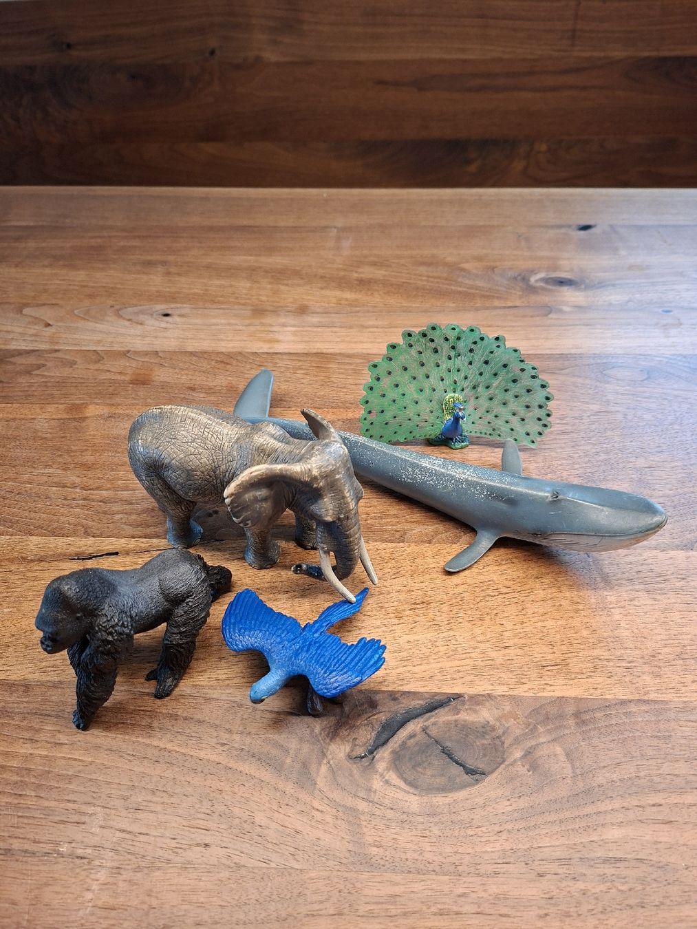 Schleich Figurines: Schleichtiere – D'occasion à Adligenswil par s.gloggner