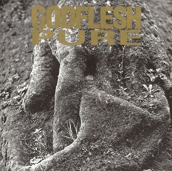 CD: Godflesh - Pure – Usato da St-Cergue venduto da VeganWarrior