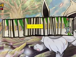 36x Pokémon TCG Live Code Karten – Champions Path