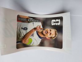 Panini Fussball Coca Cola