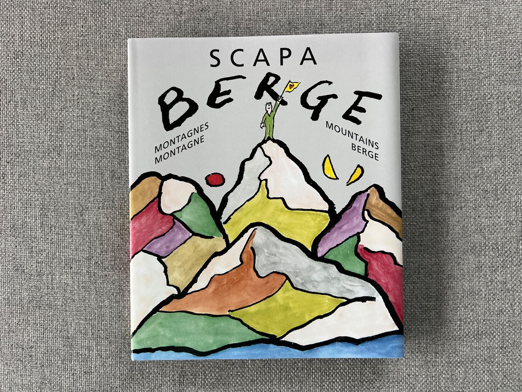 Libri: Buch Berge von Ted Scapa Kunstbuch – Usato da Ennetbaden venduto da mapa05