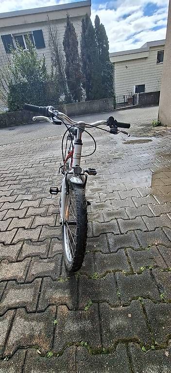 Crosswave Velos: Crosswave Tiger – Gebraucht aus Egerkingen von fbu_2y6l 2