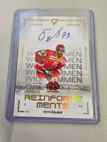 25/26 Sportzoo, National, Reinforce Signed/60, Cajka,EHCBiel