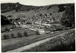 EINSIEDELN Kloster vom Freiherrenberg aus