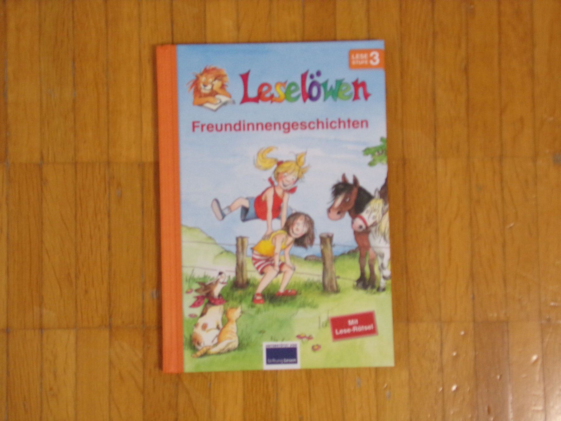 Libri: Leselöwen Freundinnengeschichten – Usato da Winterthur venduto da Jessi_di