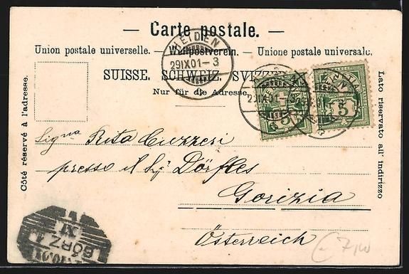 Cartoline postali: AK Heiden, Gemeindehaus und Museum, 1901 – Usato da Berlin venduto da bartko-reher 1