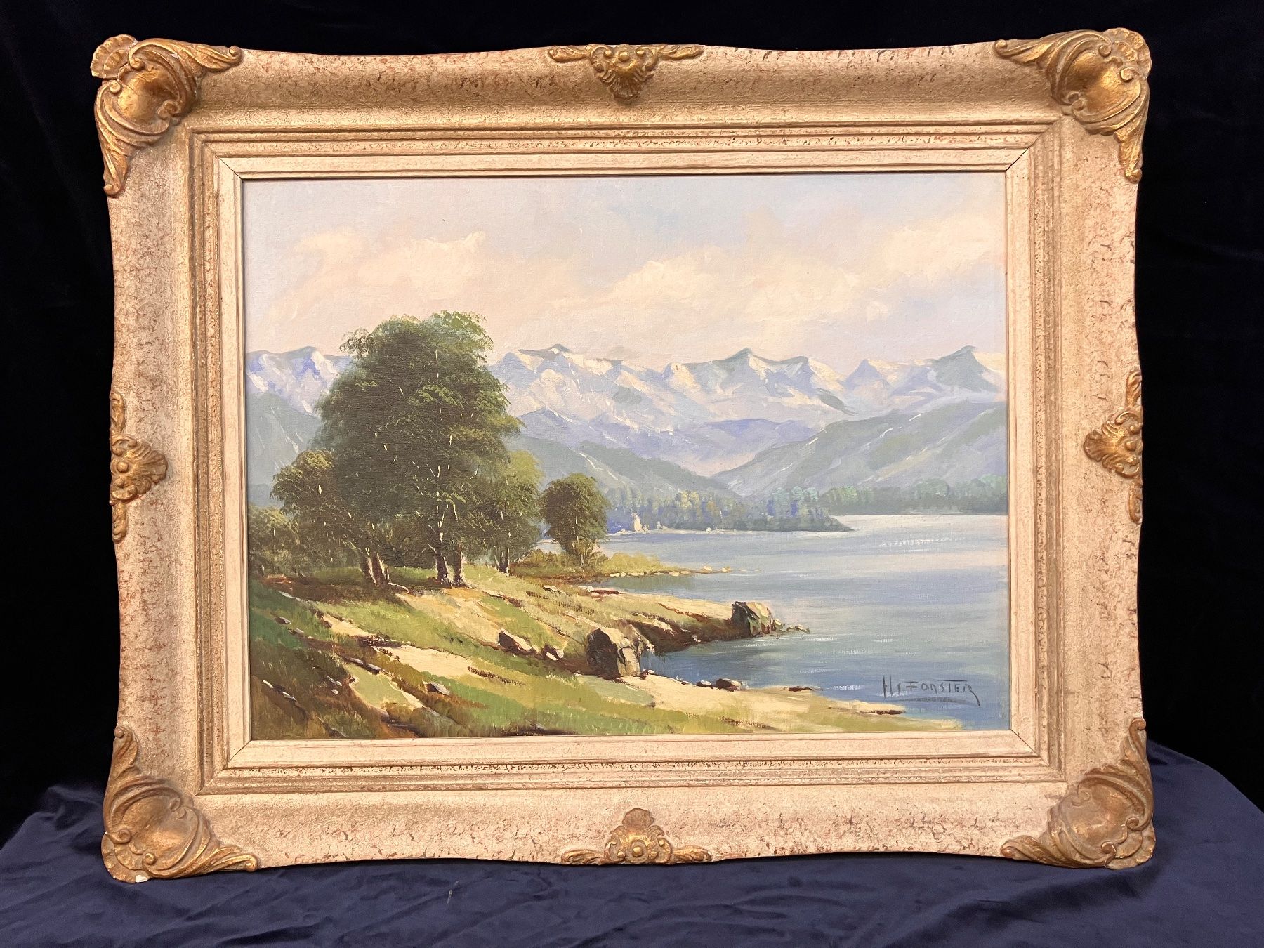 Dipinti: Gemälde H. FORSTER  Öl a. Lwd. – Usato da Zürich venduto da Artnuvo