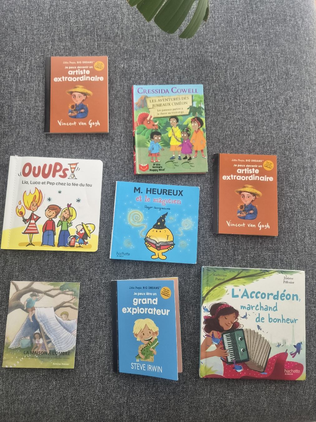 Libri: Kinderbücher-Sammlung: Französisch – Nuovo (secondo la descrizione) da Safnern venduto da ROEDGM