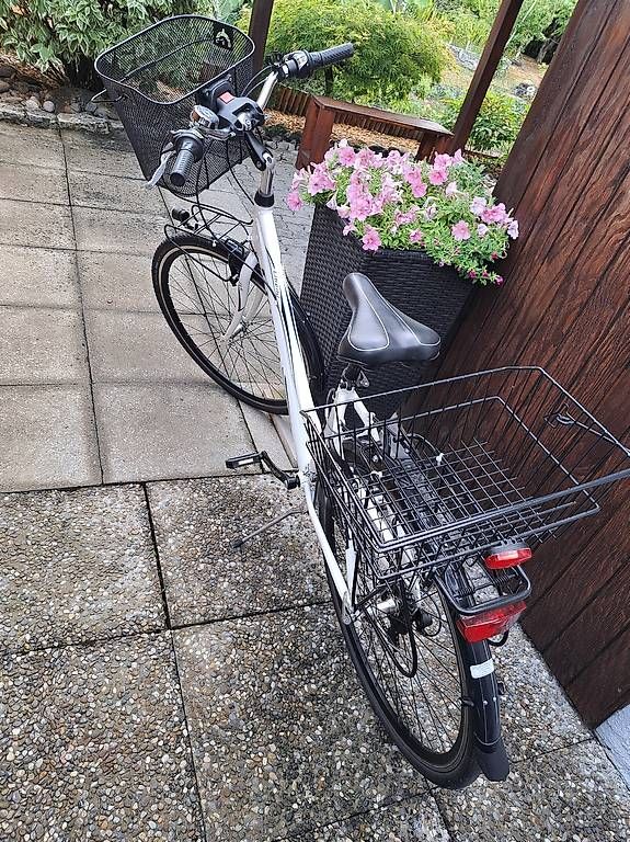 Vélos: Damenvelo – D'occasion à Lyss par schacheli 1