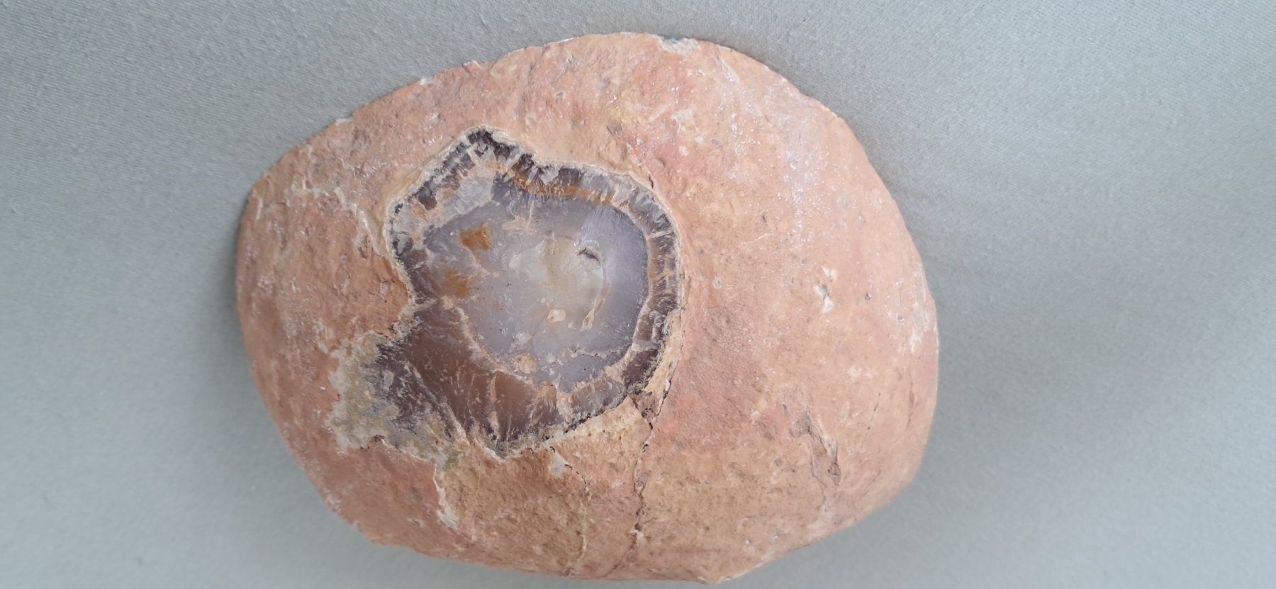 Minerali & Pietre curative: Weiss beige grauer Achat-Geode, 14.5 cm breit – Usato da Chur venduto da Okapi77 7