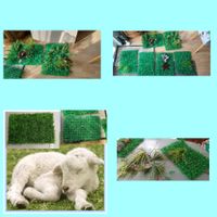 DécorationFlor(6pce+dekor)oder Grüner Rassen-Teppich Balkon!