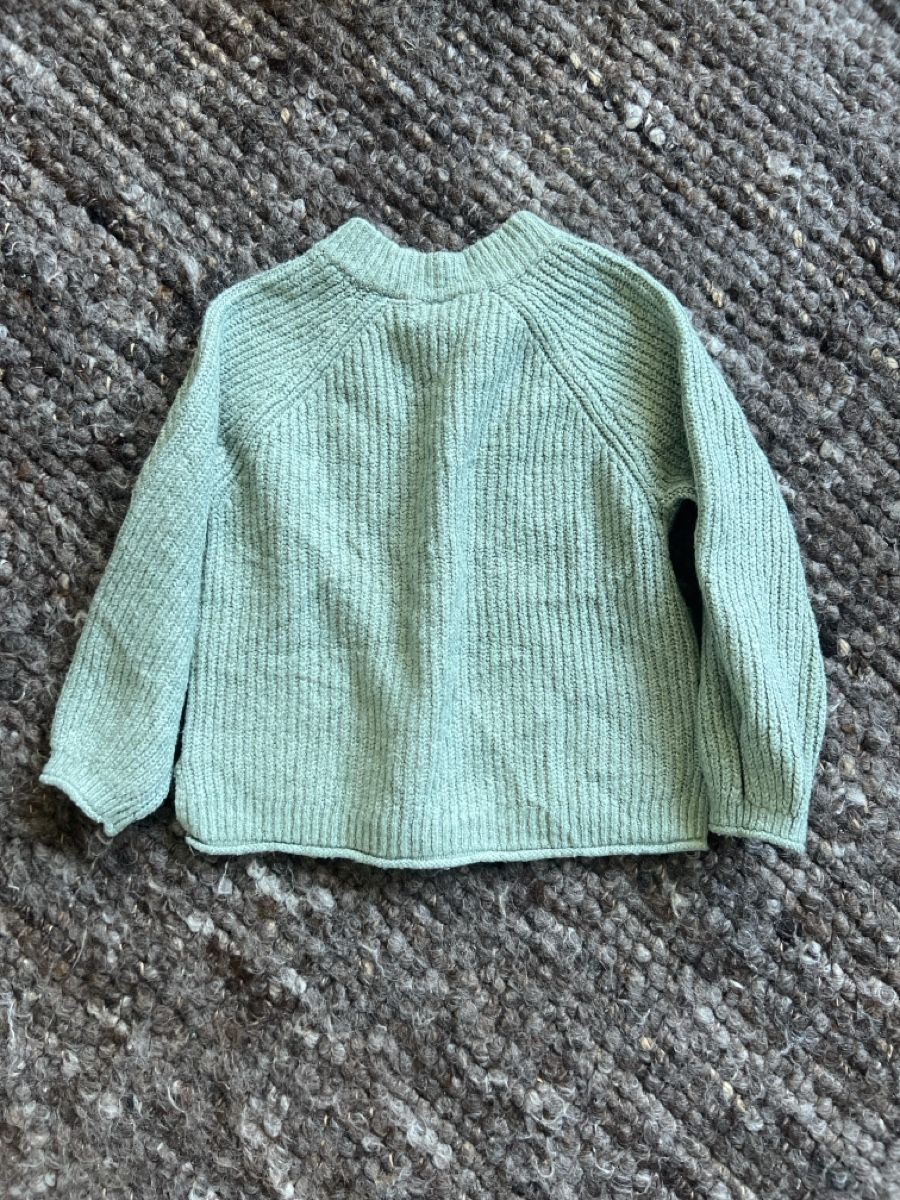 Zara Maglioni & Felpe: Zara Kinder Pullover Gr 110 – Usato da Winterthur venduto da LeonoraCor 1
