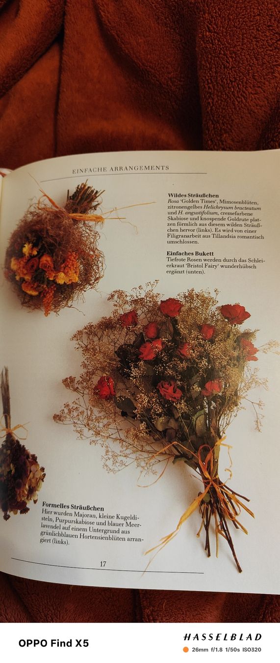 Bücher: Gestalten mit Trockenblumen – Gebraucht aus Volken von katz5 1